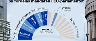 Hopp eller kris – läget i EU:s bjässar