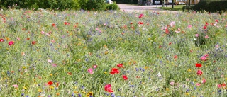 Anlagd blomsterprakt blev en succé