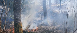 Varnar: Risk för gräsbrand