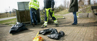 Döda djur dumpade på rastplats