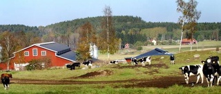 En större gård vill bli störst