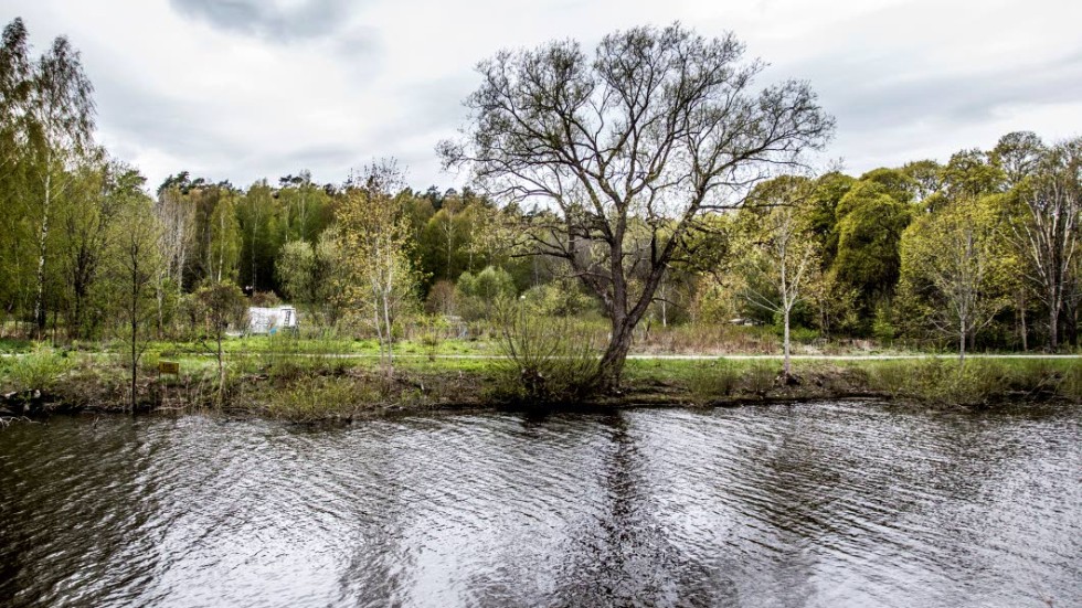 Ulleråker, vid Fyrisån.