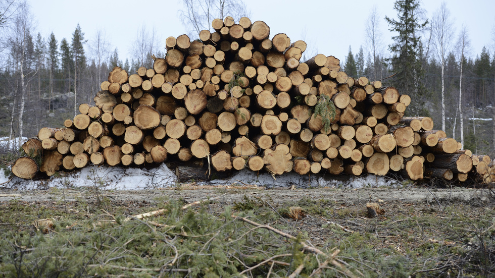 Genom att ersätta fossila material och bränslen med förnybara produkter av naturen kan vi också bidra till att nå EU:s klimatmål. Samtidigt måste vi skydda känsliga ekosystem och främja biologisk mångfald, skriver Jonathan Bergendahl och Emil Steen, MUF.