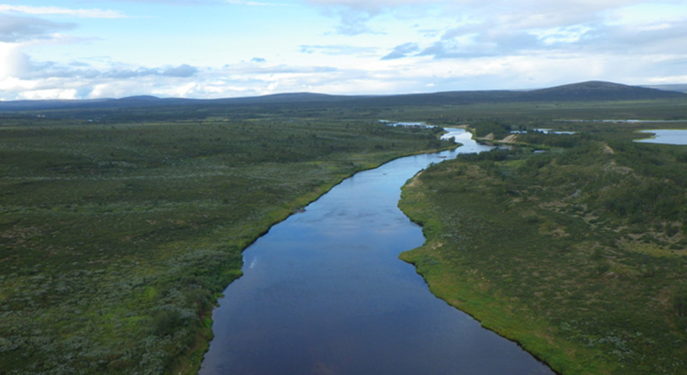 Lainioälven får hårdare fiskeregler för lax.