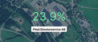 Piteå Elmotorservice AB: Så gick det för företaget 2023