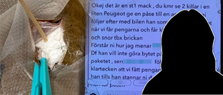 Kokain smugglades på färjan – kvinna döms till fängelse