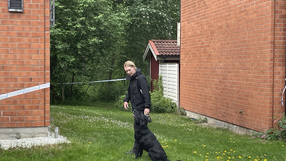Polisen söker med hund i området. 