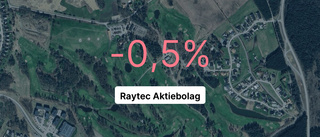 Årsredovisningen klar: Så gick det för Raytec Aktiebolag