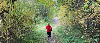 Läsarbilden: Bus i trollskogen