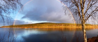 Läsarbild: Regnbågen över Kalixälven