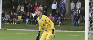 Ny VFC-nolla håller hjärnspökena på avstånd