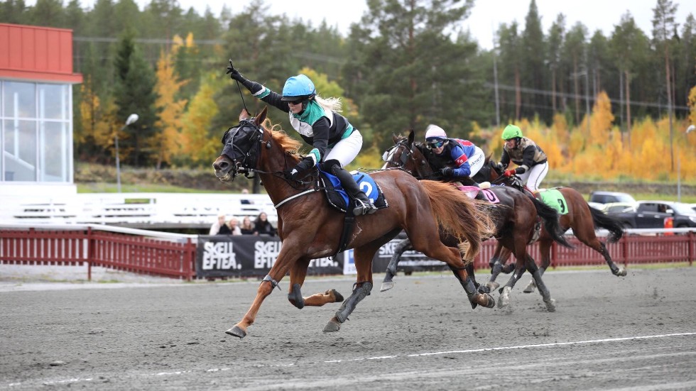 Melinda Renman gör segergest efter lördagens triumf med 11,51-oddsaren Datastrom Am.