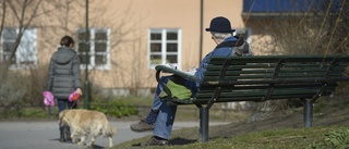 Tråkigheter får vi lov tåla ett tag till