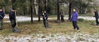 De trotsade snön för att göra fint på slåtterängen: "Aldrig varit med om något liknande"