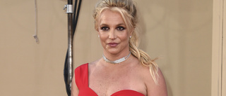 Politiker engagerar sig i Britney Spears fall