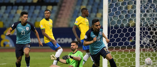 Ecuador tog poäng mot Brasilien