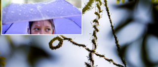 Ostadig midsommar: "Chans till längre uppehåll" • Lista: Så var midsommarvädret senaste fem åren