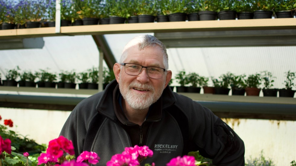 Gammaldags pelargoner är en av Jimmy Nilssons favoriter bland handelsträdgårdens blommor.