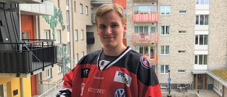 Piteå Hockey fortsätter lagbygget: "Vi ligger längre fram än vanligt"