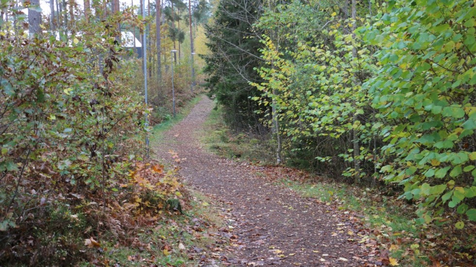 I ett skogsområde i centrala Hultsfred hittades olika sorters narkotika. Genrebild.
