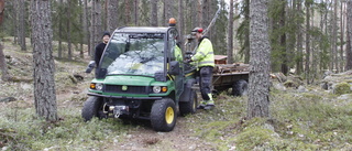 Rastplats i skogen fick lyft: "Ett corona-vardagsrum"