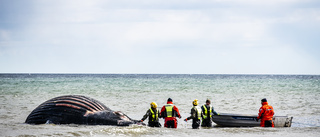 Strandad val får ligga kvar i helgen