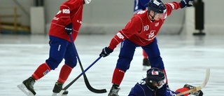 Unik har återuppstått i en annan skepnad – två Uppsalalag blev ett • Allsvenskan ett mål på sikt