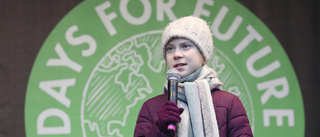 SD borde få en föreläsning av Greta Thunberg