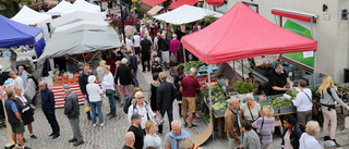 Trosa skördemarknad ställs in i år igen