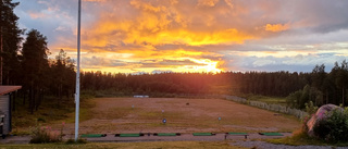 Läsarbilden: Guldgul solnedgång vid golfbanan