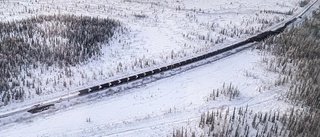 Haverikommissionen om röjningen: ”Planerar för en ganska lång undersökning”