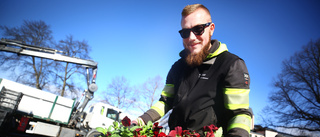 Nu blir det blommigt värre när 50 000 plantor ska planteras ut