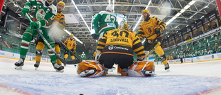 Skellefteå AIK får amerikansk målvakt