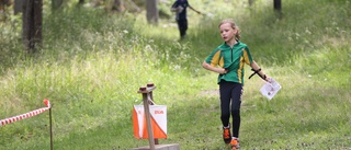 Samtliga resultat från Nyårslöpet i Ankarsrum