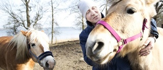 Falck gör ett riktigt hästjobb