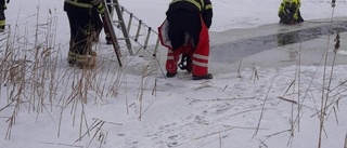 Häst gick genom isen utanför Malmköping