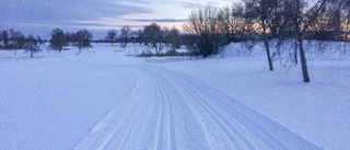 Det bästa som det godas fiende