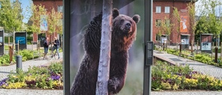 Sommar på museet ■ Guiden till alla utställningarna ■ Häng med på en rundvandring från historia till nutid