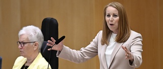 Det finns en framtid för Alliansen – utan Lööf