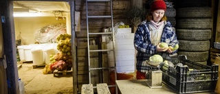 Börjar försiktigt för att kunna garantera volymerna