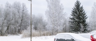 Febrilt sökande efter parkeringar