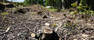 Camping kan polisanmälas – röjde skyddad naturmark: "Blev fint trots att det blev fel"