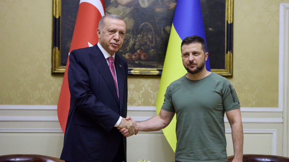 Turkiets president Recep Tayyip Erdogan och Ukrainas president Volodymyr Zelenskyj i Lviv.