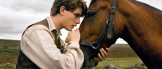 War horse - en verklig saga