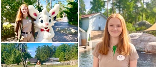 Nilla vill ge samma upplevelse hon fick som barn – med ✓Bamse ✓Rovfåglar ✓Delfiner