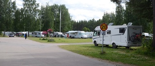 Efter två förlorade år • Arctic Camp har en rekordsommar • "Vi hoppas på en fortsättning"