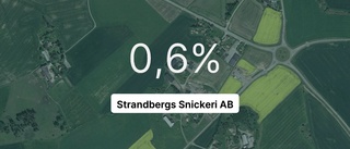 Möbelsnickarna från Linköping är tredje störst i sin bransch – ökar intäkterna med 15 procent