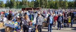 Hertsödagen fullbokad på rekordtid