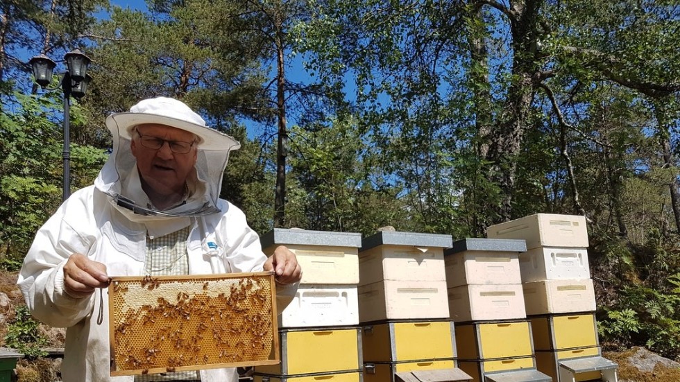 Östra Sörmlands biodlarförenings ordförande Åke Wallman.