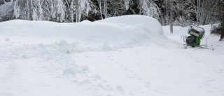 Domstolsbeslut blev skidälskarnas bästa julklapp: "Fantastiskt roligt"